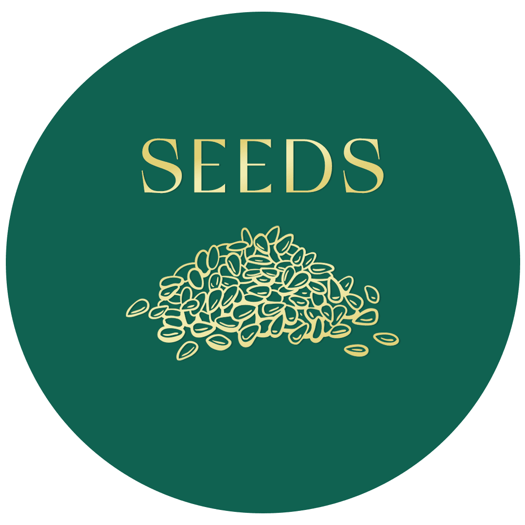 Seeds